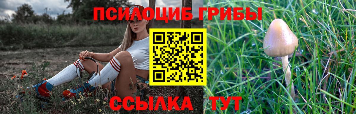 Луховицы  Псилоцибиновые грибы прущие грибы  Вход с VPN 